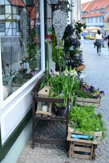 Schoene Ferienwohnung Mit Zwei Schlafzimmern Кведлинбург Экстерьер фото